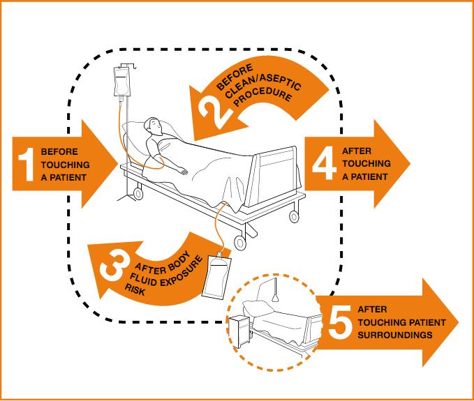My five moments for hand hygiene Sax H et al.