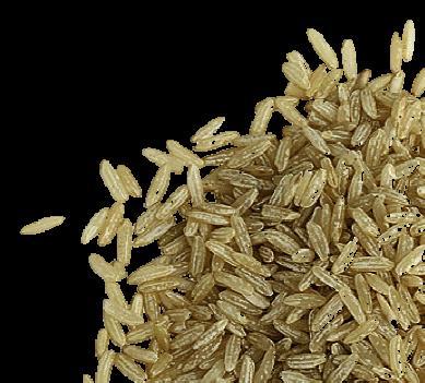 What is ancient grain?