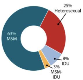 Why Prioritise MSM in a Predominantly Heterosexual Epidemic?