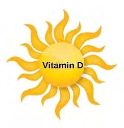 Topical Treatments (3) Topical vitamin D 3 (calcipotriene) In combination with betamethasone dipropionate, calcipotriene BID may be effective in