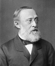 Rudolf Carl Virchow 1821-1902 Father of modern pathology Postulated that inflammation was not a single process combination of various inflammatory processes And introduced functio laesa