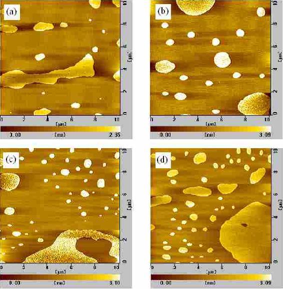 AFM images for GM1a/DPC/DPPC (1:9:9) monolayers on physiologycal