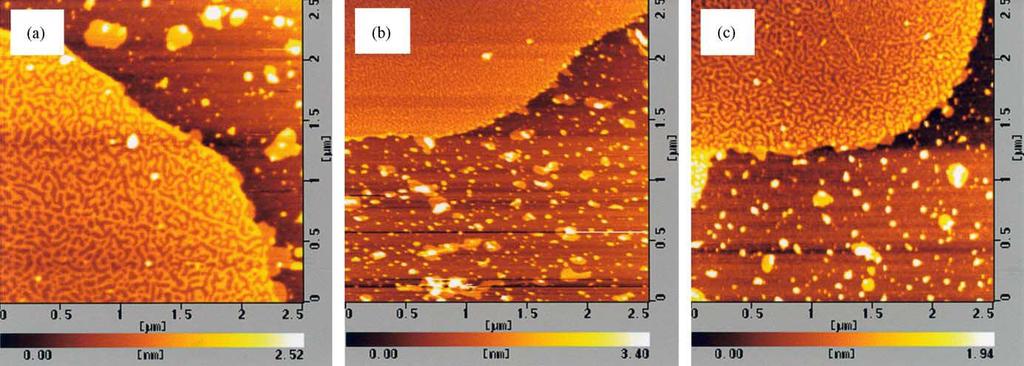 Membrane properties of binary and ternary systems of ganglioside GM1/DPPC/DPC Effect of surface pressure on the AFM images for the GM1/DPPC/DPC (2:9:9) monolayer.