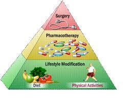 Treatment of Obesity 1) Dietary Recommendations: Caloric