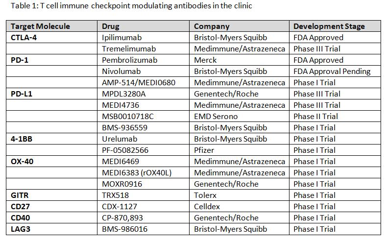 Immune checkpoint modulating antibodies currently in the clinic Ai