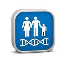 Background A clinical genetics service is a specialist service provided by the NHS, which offers (1) diagnosis of genetic conditions (2) information about genetic conditions including information