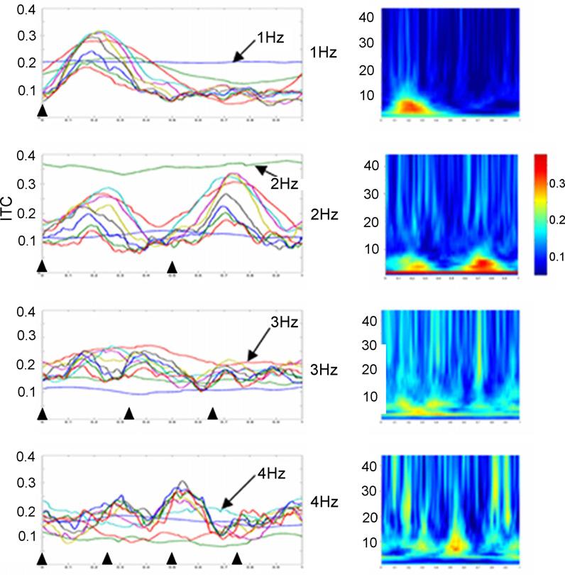U. Will, E. Berg / Neuroscience Letters 424 (2007) 55 60 57 with silence, the reduction being significant for the 14 44 Hz (beta and gamma) EEG bands (post hoc Bonferroni Dunn test: p < 0.0001).