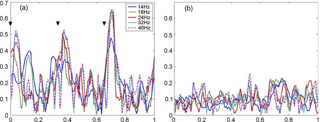 U. Will, E. Berg / Neuroscience Letters 424 (2007) 55 60 59 Fig. 4. Pattern of mean ITC responses in the beta and gamma bands for 120 1-s epochs from one subject (only five EEG bands are displayed: 14, 18, 24, 32, 40 Hz).