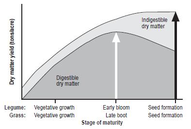 Changes in dry matter yield of legumes & grasses with advancing maturity Jones et