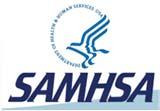 SAMHSA FUNDED GRANT PROGRAMS COMMUNITY TRAINING PARTICIPANTS PPW - First Steps System of Care PPW - Sober Women Healthy Families Children Affected by Methamphetamine (CAM): Family Treatment Drug