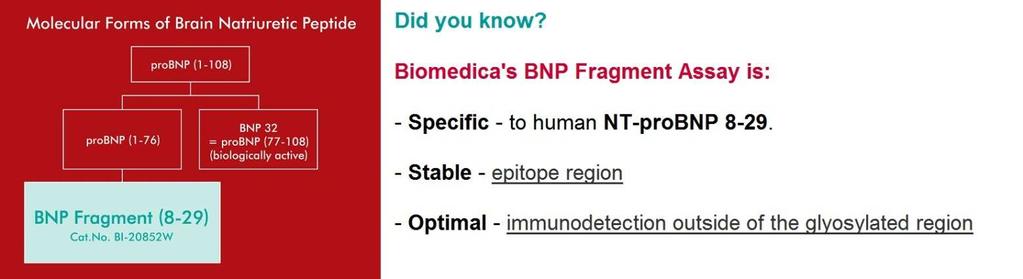 Additional information Available on our Website Package insert BNP Fragment EIA, Cat.No.
