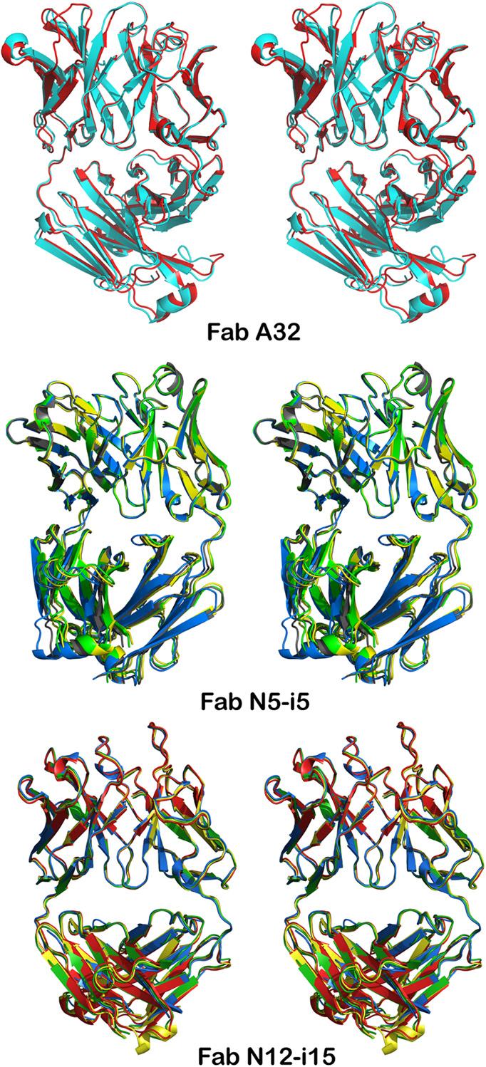Fig. S3. Stereo view of superimposed symmetry-related antigen-binding fragment (Fab) molecules present in the asymmetric unit of crystals of Fab A32, Fab N5-i5, and Fab N12-i15.