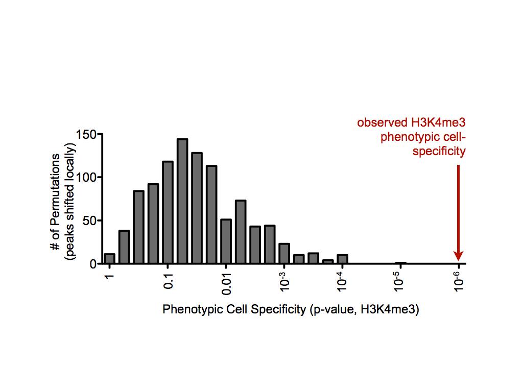 Supplementary Figure 5: Phenotypic cell-specificity of H3K4me3 is dependent on genomic position of peaks.
