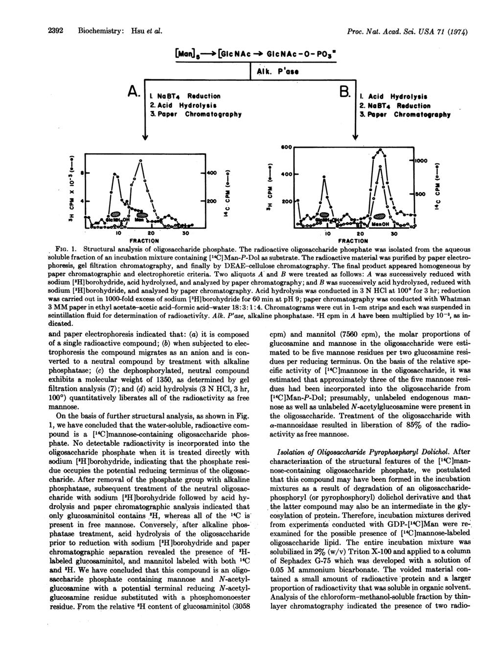 2392 Biochemistry: Hsu et al. Proc. Nat. Acad. Sci. USA 71 (1974) [Man-q-J5-- [GicNAc - GIcNAc-O- P53 A. L NoaT4 Reduction 2. Acid Hydrolysis 3. Paper Chromatography Al k. Pase B. I.