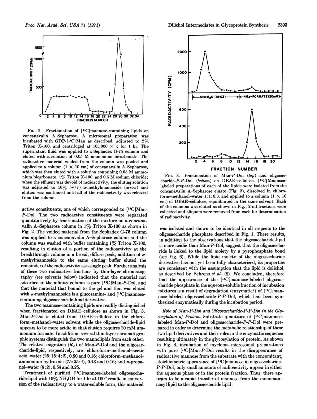 Proc. Nat. Acad. Sci. USA 71 (1974) ~1 ~5/ FIGe-.. I, 2 4 6 8 1 12 14 16 2 22 24 26 28 3 k 3234 FRACTION NER FIG. 2. Fractionation of ["C]mannose-containing lipids concanavalin A-Sepharose.