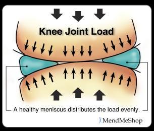 Knee Injuries 1. Torn Meniscus The menisci absorb shock by compressing and spreading the weight evenly within the knee.