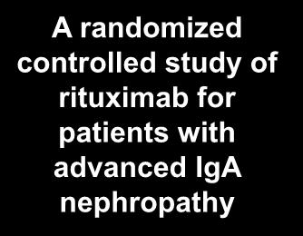 Fervenza F et al, J Am Soc Nephrol in press A randomized controlled study of rituximab for patients with advanced IgA nephropathy 24hr Proteinuria in Control