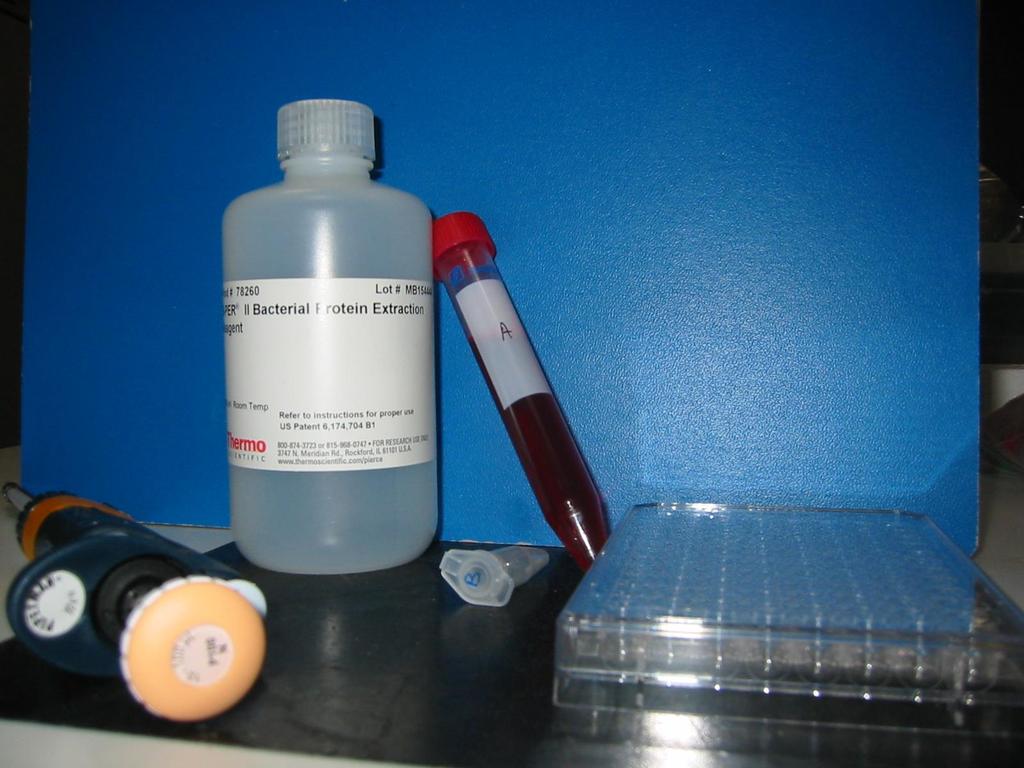The ESBL NP test; the kit Lysis buffer Beads Diluted red