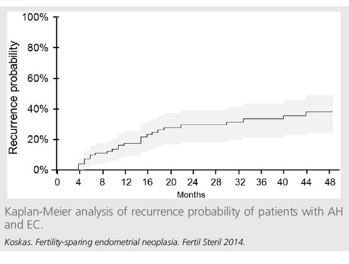Recurrence probability after progestin therapies Months