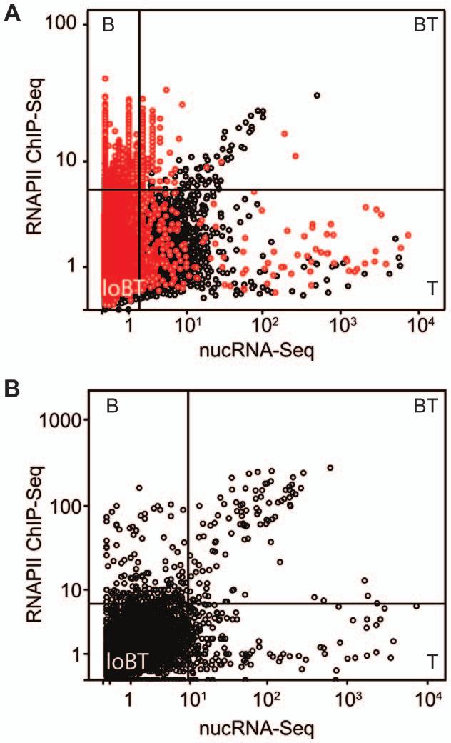 Comparative analysis of nucrna-seq and RNAPII ChIP- Seq We next investigated the relationship between RNAPII association examined by RNAPII ChIP-Seq and transcriptional output assayed by nucrna-seq.