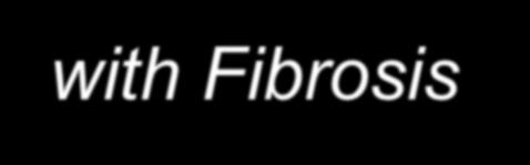 Liver Activated HSC with Fibrosis