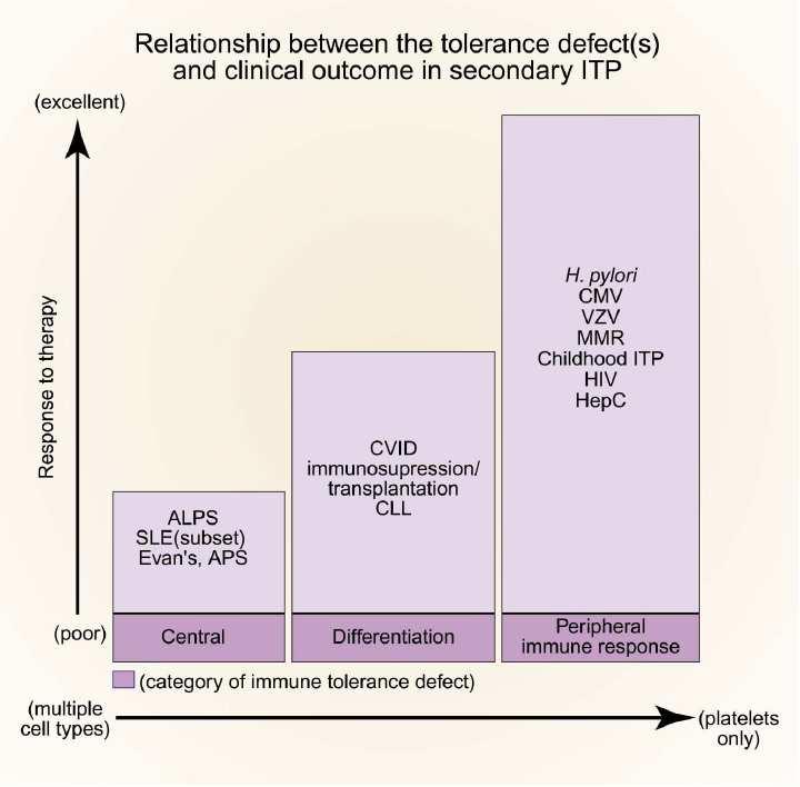 Central tolerance defect More cell types involved: less responsive to therapy