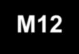 M12 M18 * P < 0.05; ** P < 0.01; *** P < 0.