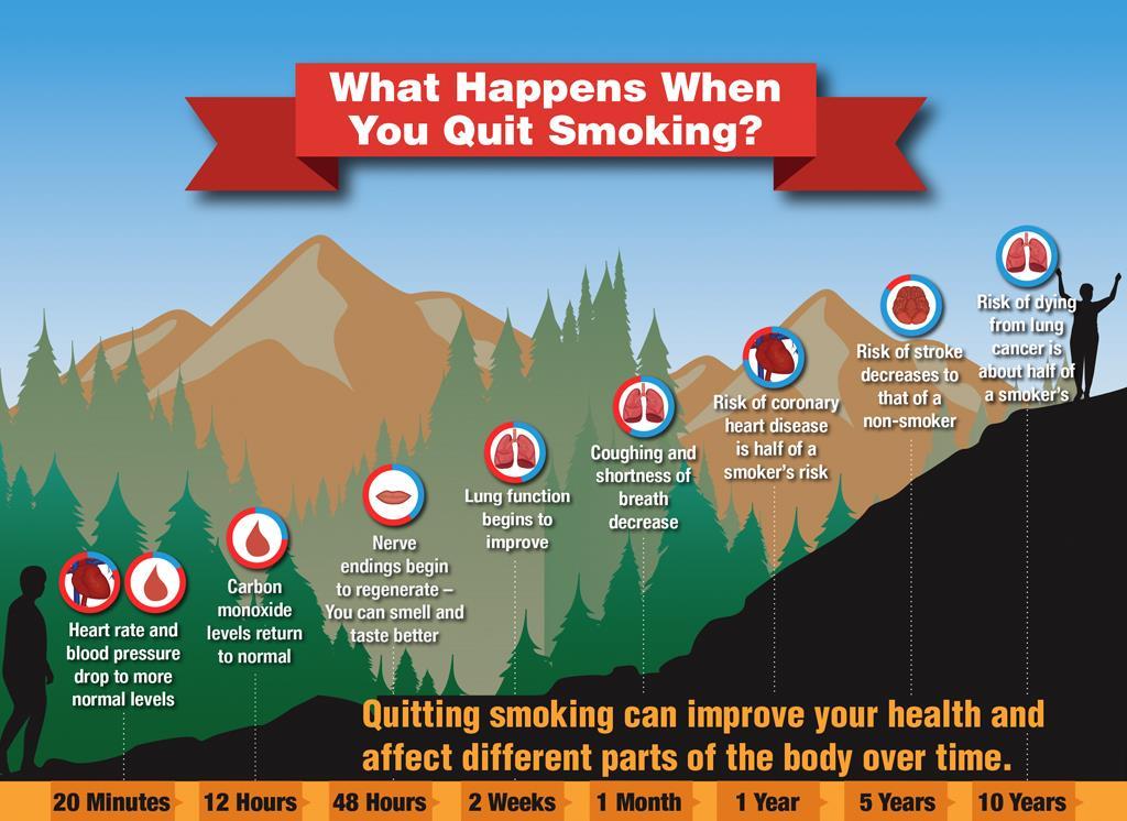 Smoking Cessation Benefits Tobacco cessation opportunity Benefits of tobacco cessation Return of smell Increased energy Smaller chance of having a stroke or heart