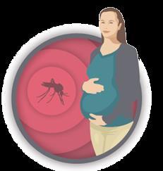 U.S. Zika Pregnancy Registry Who is included?