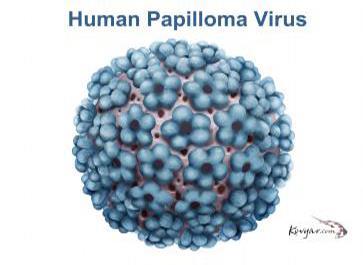 What is HPV? HPV is human papilloma virus.