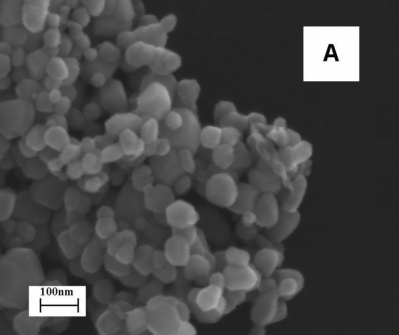 Figure S4 SEM images of (A) ZnO, (B) ZnO after H 2 treated at 465 º C 5 h and (C) ZnO after treated in air at 465 º C 5 h, respectively.