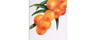 Sea buckthorn has been used for millennia to protect the skin against the harsh climate and solar radiation at