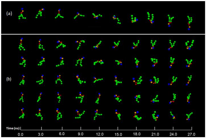 Lipid Flip-flop The scheme (a) and the snapshots (b) of typical lipid molecule flip-flop events observed in our simulation