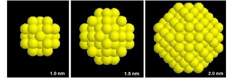 The structure of gold nanocrystals (bare gold