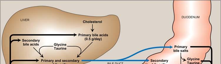 Lowering Cholesterol Level Dietary -