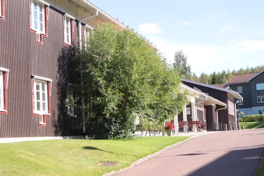Dalarna, is the sole college/adult education program