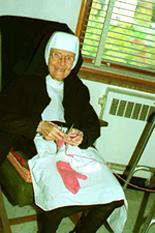 Early Linguistic Ability - The Nun Study A longitudinal study on aging and disability using antemortem and postmortem data collected from 678 older School Sisters of Notre Dame since 1986.