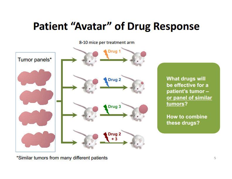Future strategies (I) Patient avatar of drug response What drugs or