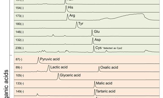 A gradient method was used for the analysis. The result demonstrates its capability of analyzing some organic acids. The elution order of the organic acids was mono, di, and tribasic acids.