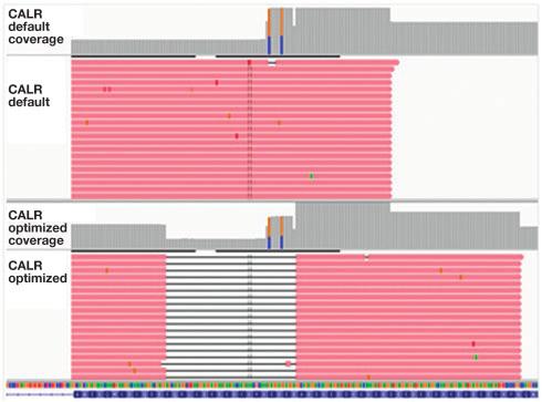 lines flank the bases centered in the display screen; the blue symbols represent the inserted nucleotides (identified on both IGV images generated by both NGS analysis). C, CALR Sanger sequencing.