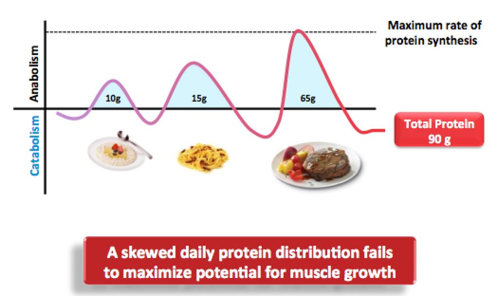 5.1. PROTEIN TIMING Daily