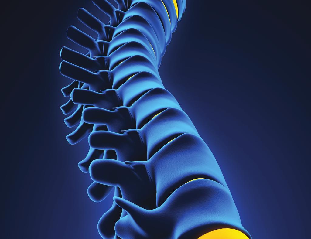 Common Conditions TABLE OF CONTENTS Bulging/Herniated Disc... PAGE 2 Cervical (Neck) Pain... PAGE 3 Degenerative Disc Disease... PAGE 4 Sciatica.