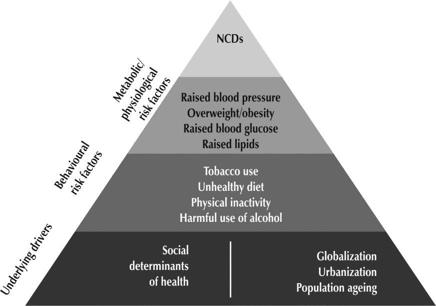 Page 3 Figure 2: Determinants of NCDs (7) Globalization and underlying social determinants are driving unhealthy lifestyle behaviours.