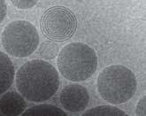 Cubic nanoparticles Can be prepared from physiologi