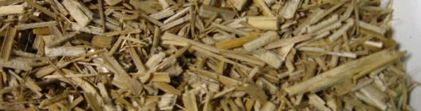 dried miscanthus sawdust (6