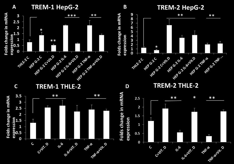 These observations of immunofluorescence further support the results of RT-PCR that TREM-1 expression and stimulatory effect of IL-6 and TNF-α on TREM-1 is attenuated by calcitriol.
