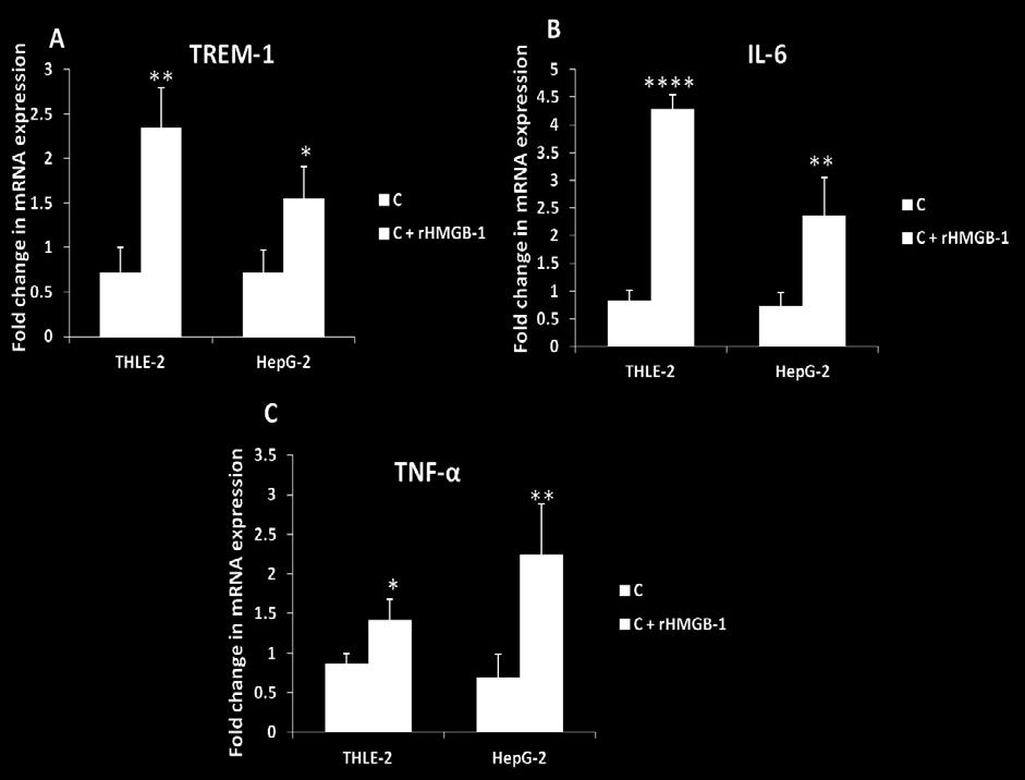 The extracted RNA was subjected to RT-PCR for TREM-1 (A), IL-6 (B) and TNF-α (C) expression.