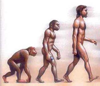 Homo Sapiens Thrifty Gene Hypothesis In the past, starvation caused diseases and death thus, the biological