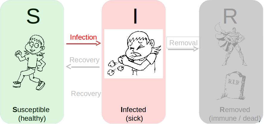 Simplest Model: SI SI model: devastating disease, no immunity, no