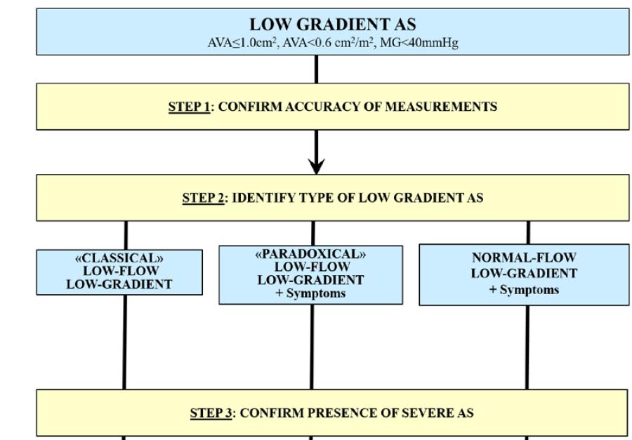 Management of Low gradient AS Pibarot P, Clavel MA.